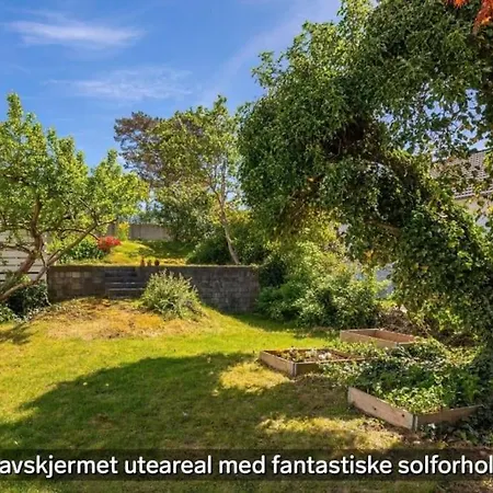 Koselig Stavanger
